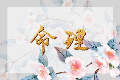 双人合盘详解紫微,紫微元贞排盘,紫薇斗术排盘,紫薇八字免费排盘